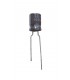 Condensador electrolitico 100MF-50V CERL-100MF-50V